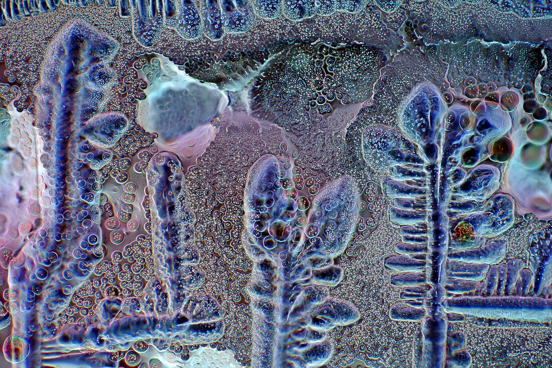 Das Bild zeigt kristallisierte Sojasauce, fotografiert durch das Mikroskop in polarisiertem Licht bei einer Vergrößerung von 100X