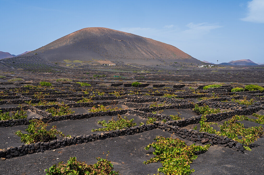 La Geria, Lanzarote's main wine region, Canary Islands, Spain\n