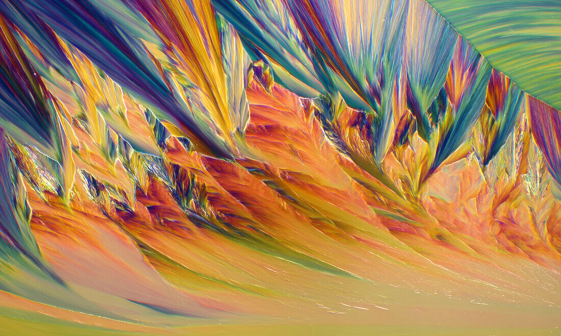 Das Bild zeigt kristallisiertes Resorcinol, fotografiert durch das Mikroskop im polarisierten Licht bei einer Vergrößerung von 100X