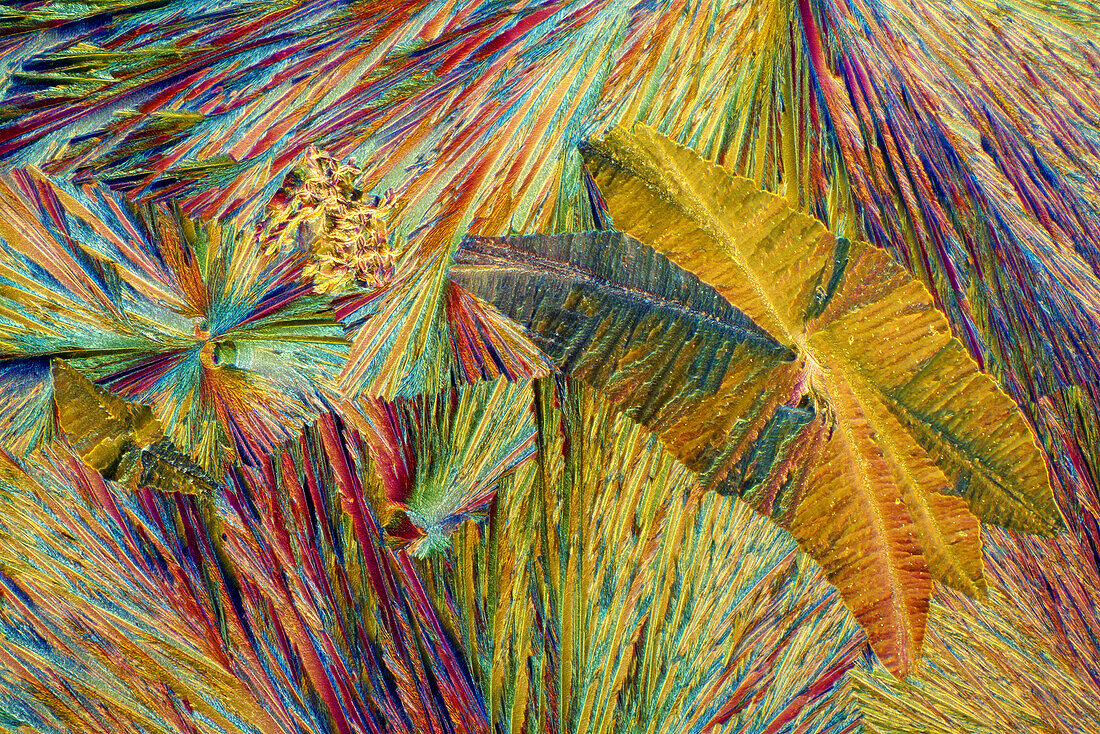 The image presents crystallized sulfur and hydroquinone, photographed through the microscope in polarized light at a magnification of 100X\n