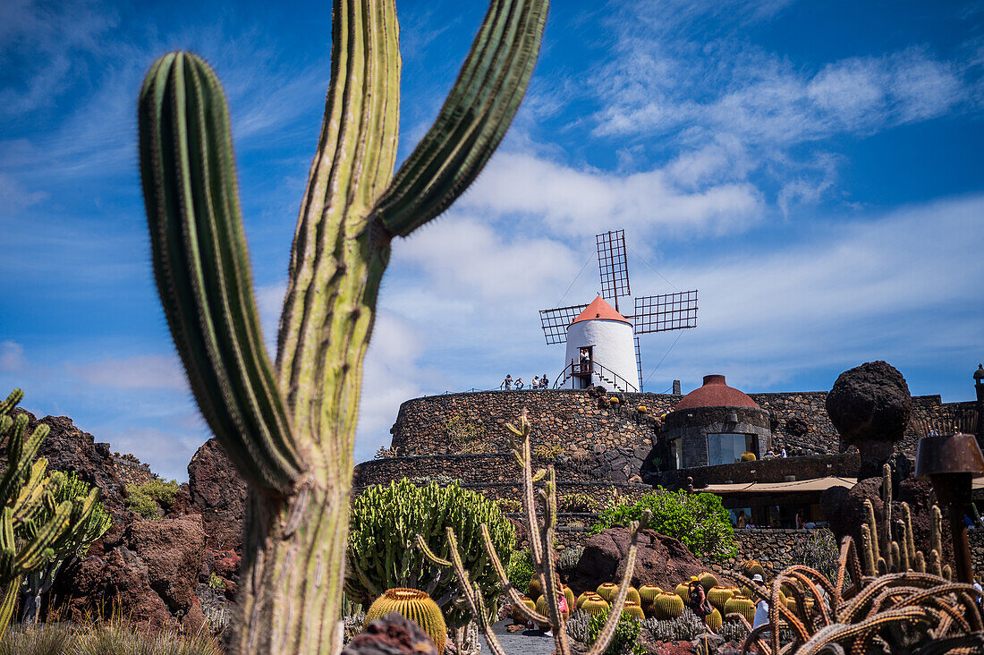 The Jardin de Cactus (Cactus garden) is a wonderful example of architectural intervention integrated into the landscape, designed by Cesar Manrique in Lanzarote, Canary Islands, Spain\n