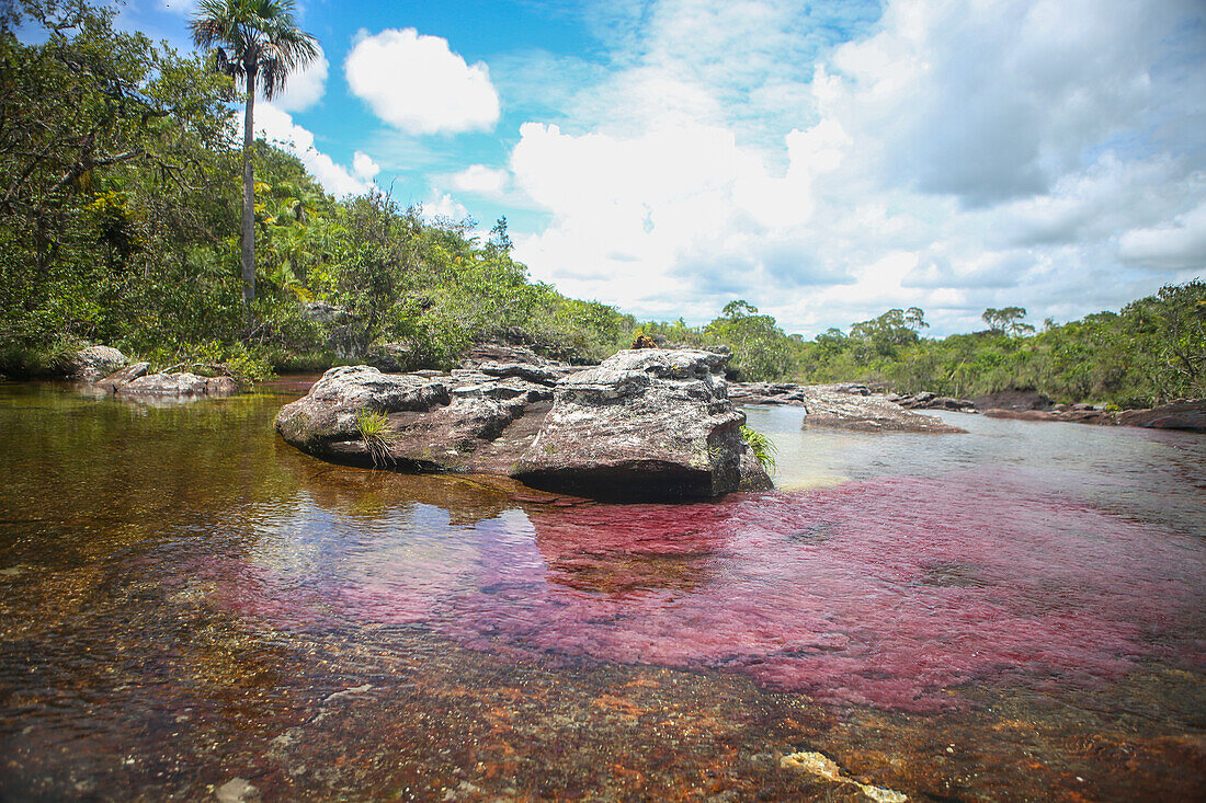 Der Caño Cristales, auch als Fluss der fünf Farben bekannt, ist ein kolumbianischer Fluss in der Serranía de la Macarena, einer isolierten Gebirgskette im Departement Meta, Kolumbien
