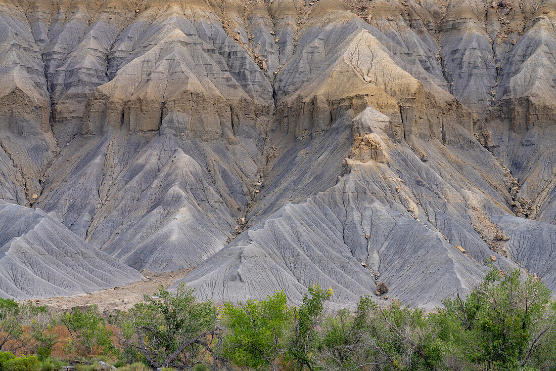 Geometric designs in the erosion patterns of the talus slopes of buttes in the Caineville Desert near Hanksville, Utah.\n