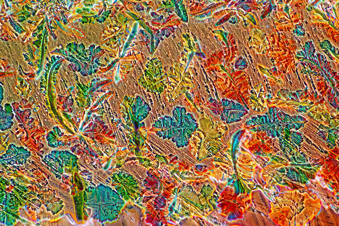 Das Bild zeigt eine kristallisierte Mischung aus Weinsäure, Apfelsäure und Acetanilid, fotografiert durch das Mikroskop in polarisiertem Licht bei 100facher Vergrößerung