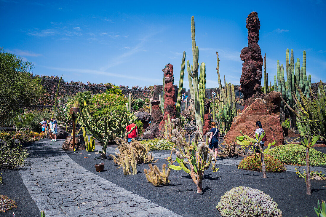 Der Jardin de Cactus (Kaktusgarten) ist ein wunderbares Beispiel für einen in die Landschaft integrierten architektonischen Eingriff, entworfen von Cesar Manrique auf Lanzarote, Kanarische Inseln, Spanien