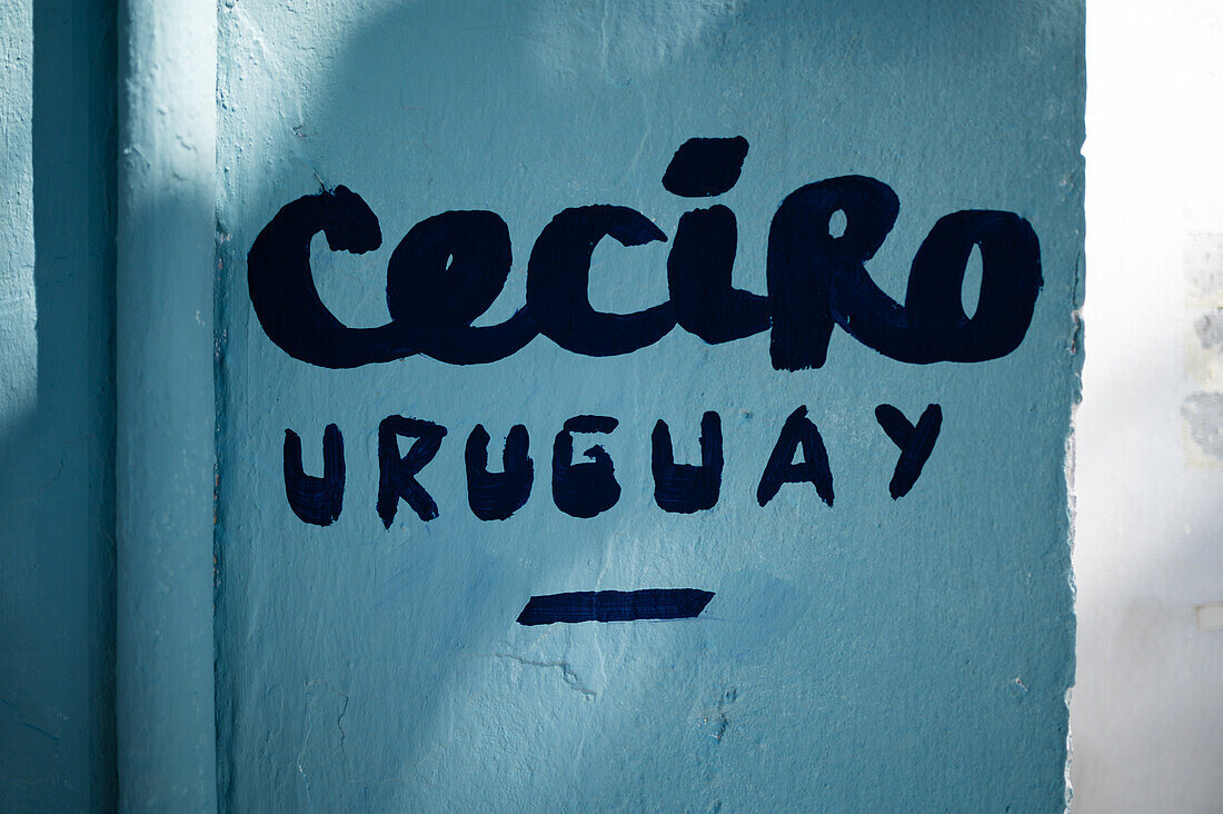 Ceciro from Uruguay at Asalto International Urban Art Festival in Zaragoza, Spain\n