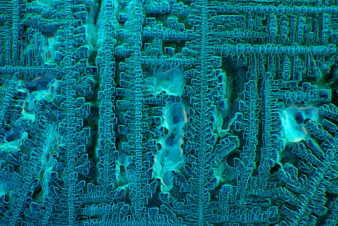 The image presents crystallized soy sauce, photographed through the microscope in polarized light at a magnification of 100X\n