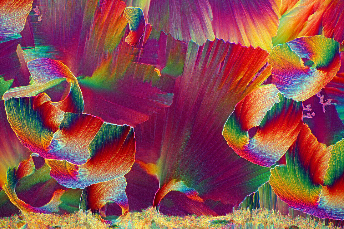 Das Bild zeigt ein kristallisiertes Gemisch aus Harnstoff und Paracetamol, fotografiert durch das Mikroskop in polarisiertem Licht bei einer Vergrößerung von 100X