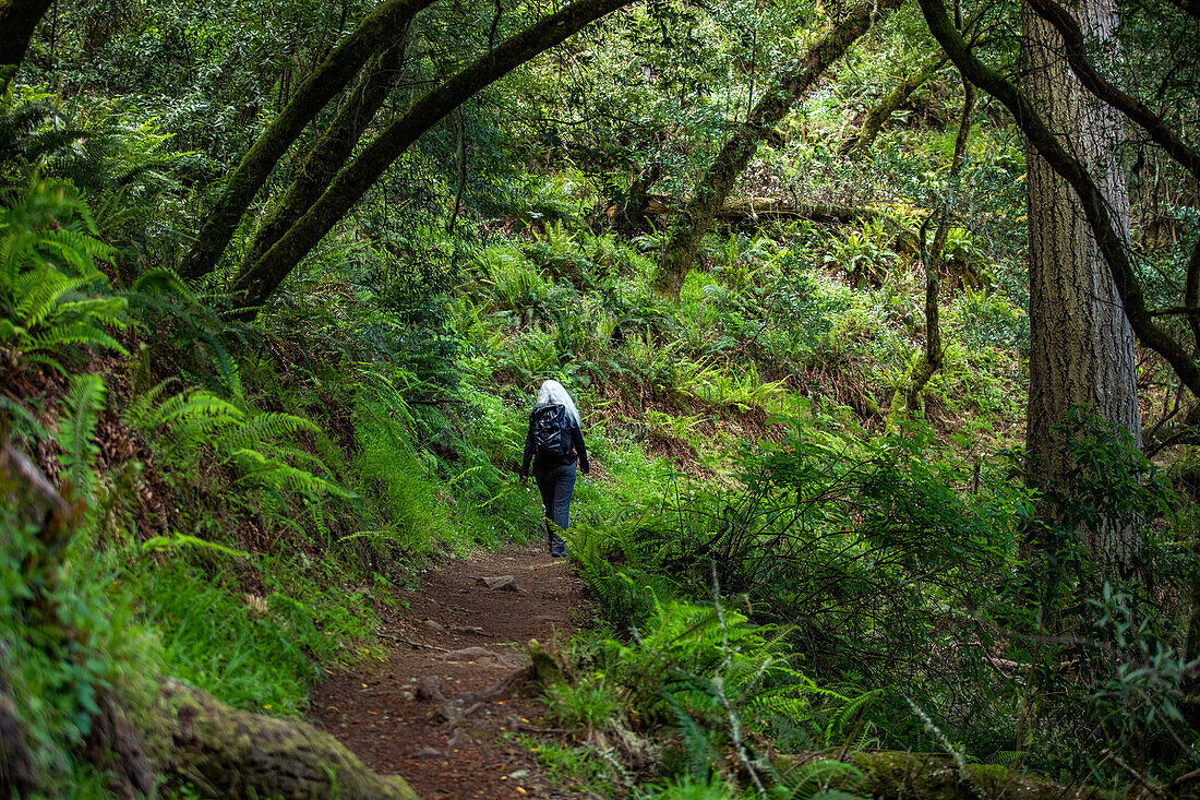 USA, California, Stinson Beach, Senior woman hiking Dipsea Trail\n