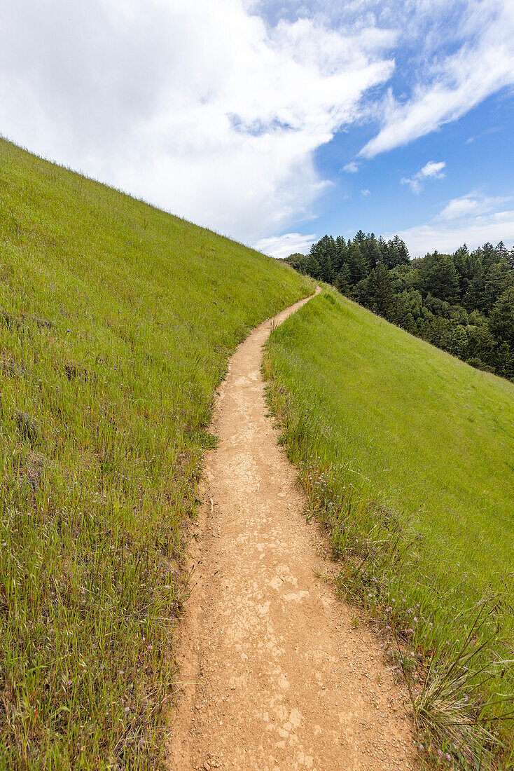 Wanderweg von Stinson Beach über den Hügel