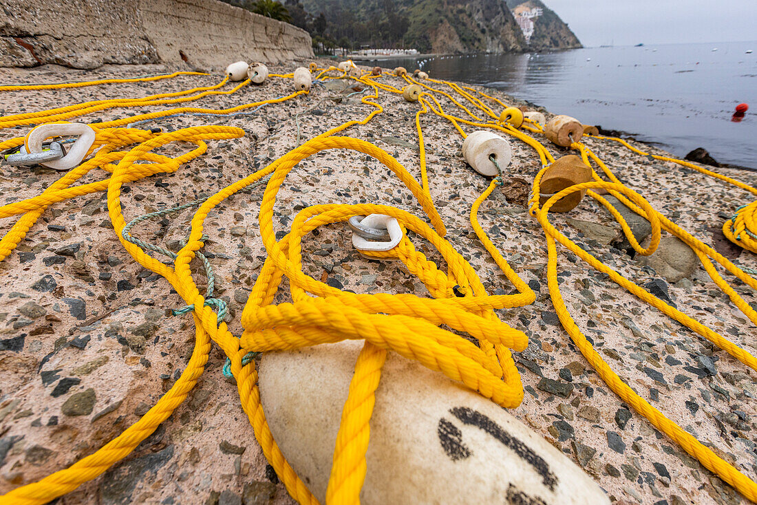 USA, California, Catalina Island, Avalon, Nautical rope and buoys on sea coast\n
