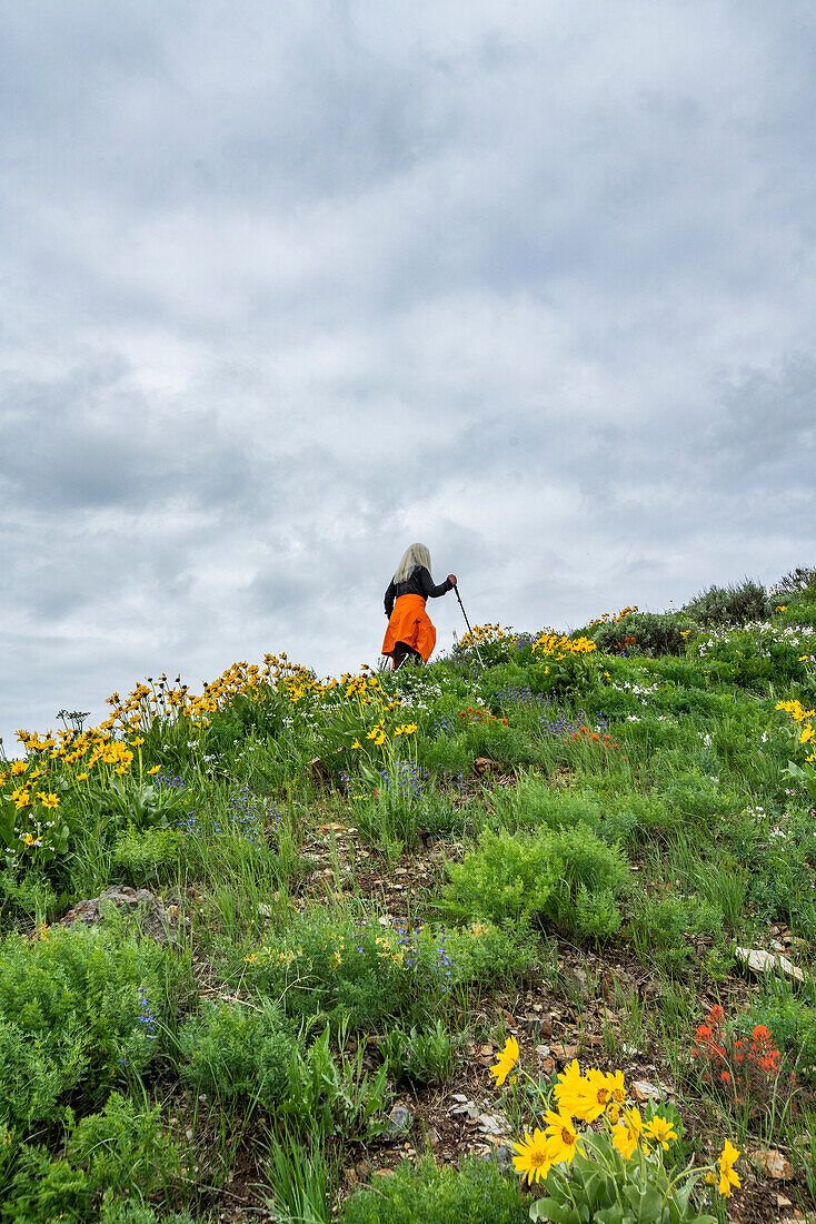 USA, Idaho, Hailey, Senior blonde woman hiking on Carbonate Mountain trail\n