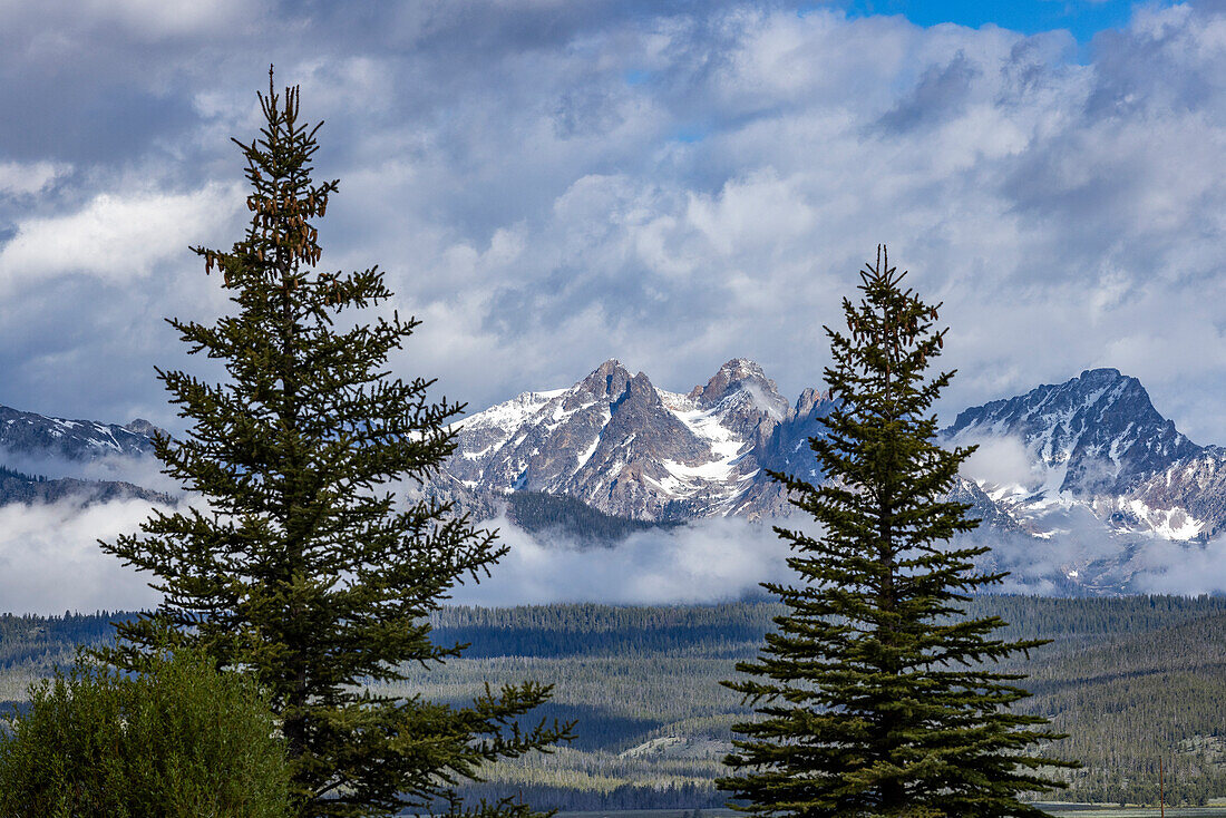 USA, Idaho, Stanley, Nebel über dem Wald bei den Sawtooth Mountains