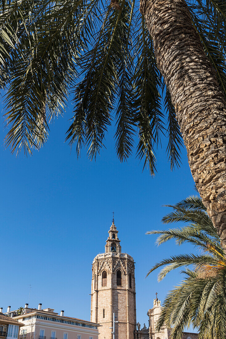 Spain, Valencia, Bell tower of Valencia Cathedral and palm trees\n