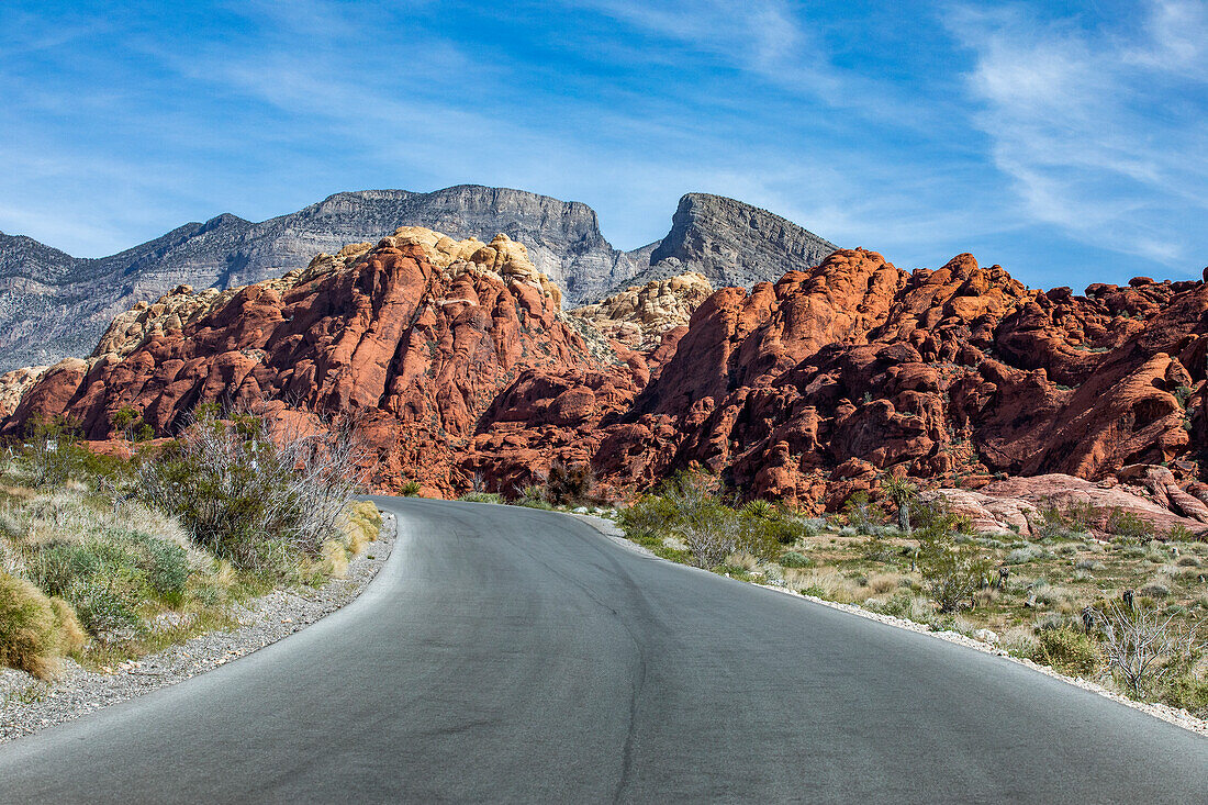 USA, Nevada, Las Vegas, Loop road through Red Rock Canyon National Conservation Area\n