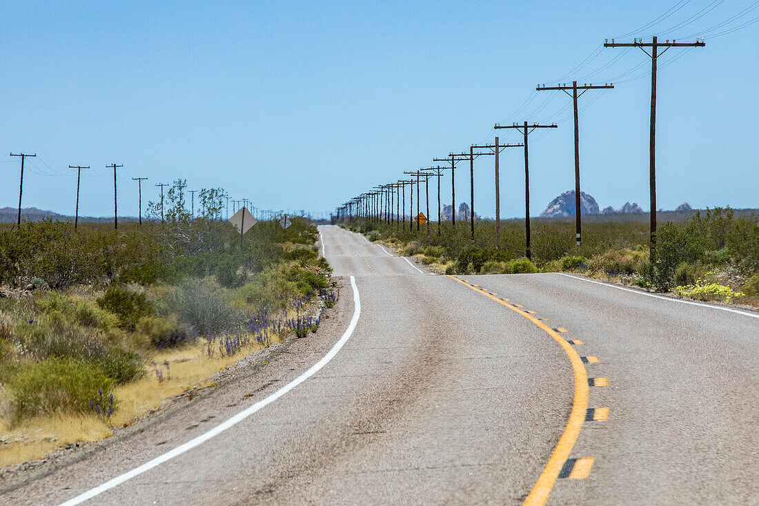 USA, California, Barstow, Mojave National Preserve, Empty highway and electricity pylons in desert\n