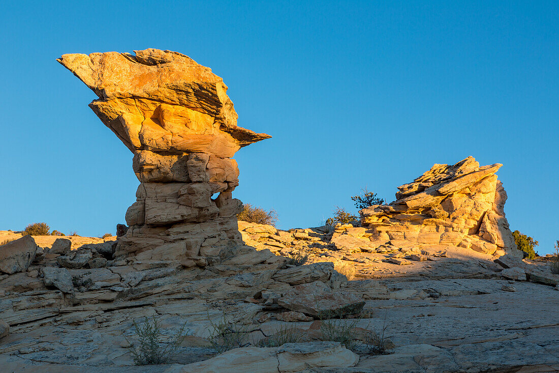 Navajo-Sandstein-Hoodoo-Felsformation im Grand Staircase-Escalante National Monument in Utah.