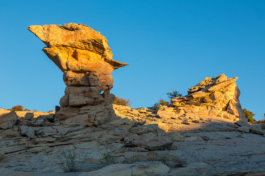 Navajo sandstone hoodoo rock formation in the Grand Staircase-Escalante National Monument in Utah.\n