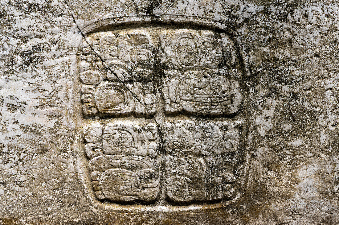 Tafel 3 in der Struktur A9 in den Maya-Ruinen im archäologischen Reservat von Xunantunich in Belize. Diese Tafel stammt ursprünglich von einer Hieroglyphentreppe in Caracol und wurde als Kriegstrophäe mitgenommen.