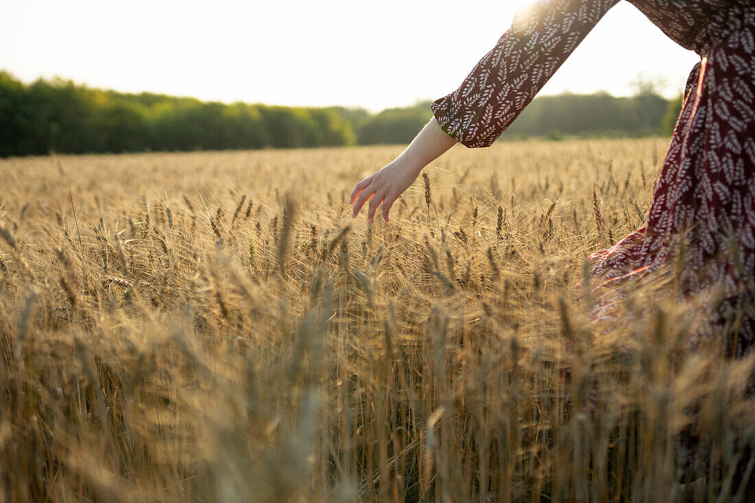 Close-up of woman touching cereal plants in field at sunset\n