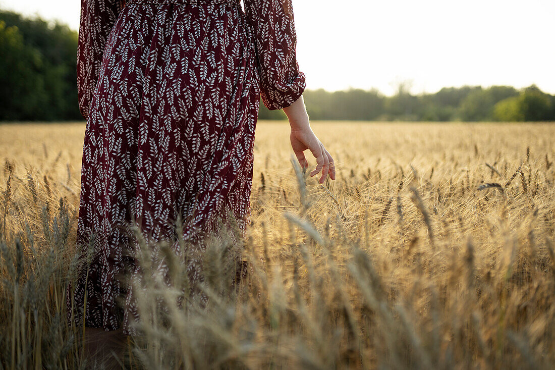 Rear view of woman touching cereal plants while standing in field at sunset\n