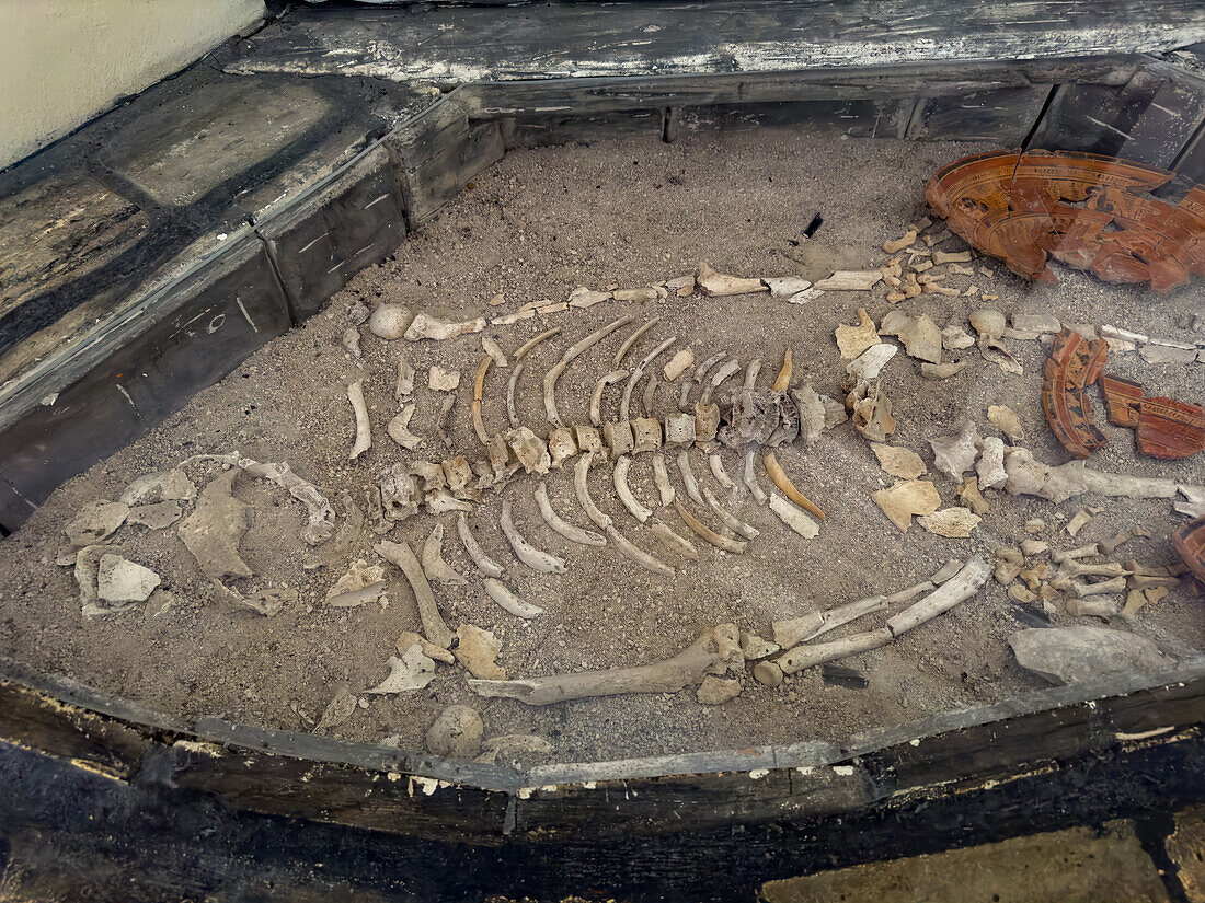 Nachbildung des Grabes A4-2 im Museum des archäologischen Reservats von Xunantunich in Belize, das das Skelett und die Grabbeigaben enthält.