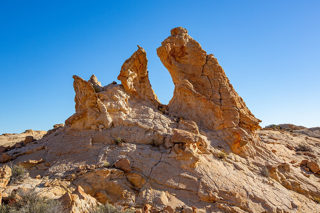 Navajo-Sandsteinfelsformation in Form eines Bären im Grand Staircase-Escalante National Monument in Utah.