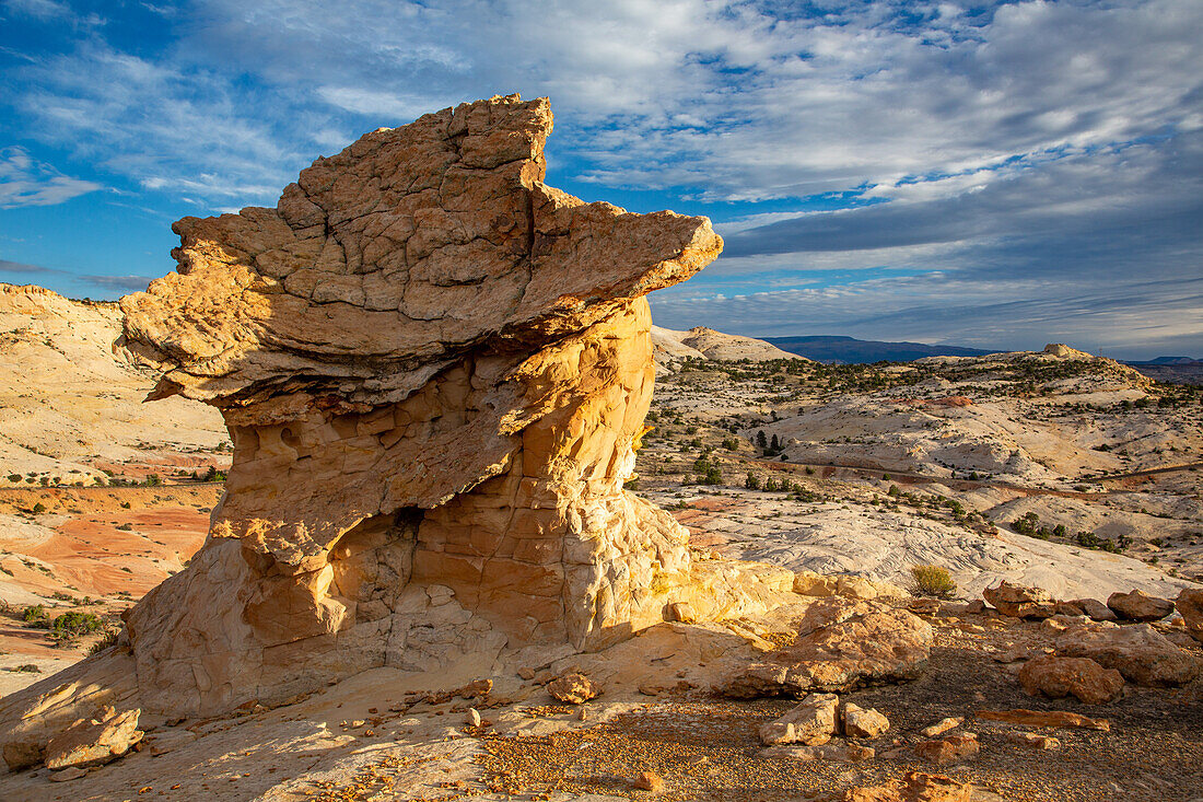 A Navajo sandstone hoodoo shaped like a griffin or a dragon in the Grand Staircase-Escalante National Monument in Utah.\n