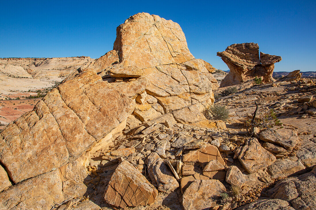 A Navajo sandstone hoodoo shaped like a griffin or a dragon in the Grand Staircase-Escalante National Monument in Utah.\n