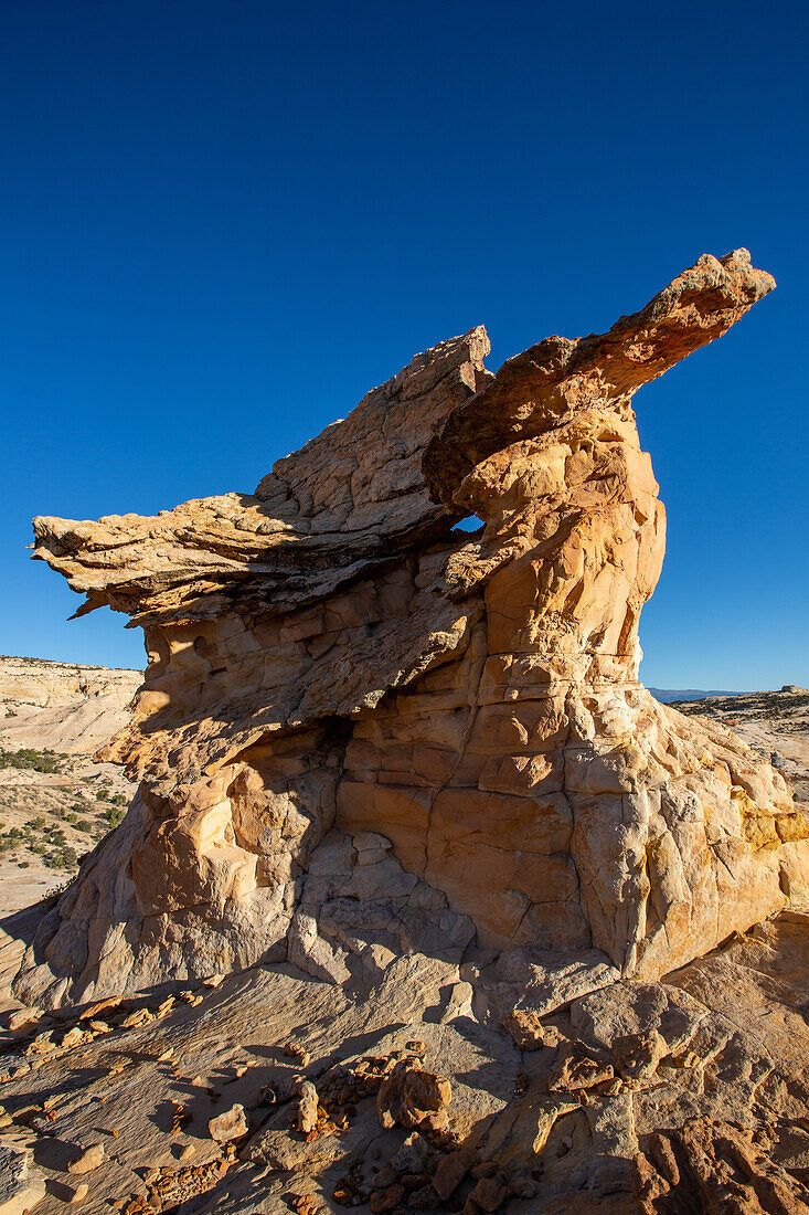 A Navajo sandstone hoodoo shaped like a griffin or a dragon in the Grand Staircase-Escalante National Monument in Utah.\n
