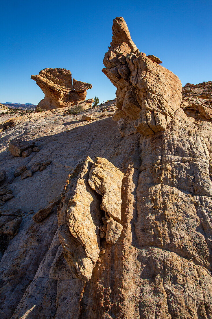 A Navajo sandstone hoodoo shaped like a griffin or a dragon in the Grand Staircase-Escalante National Monument in Utah.\n