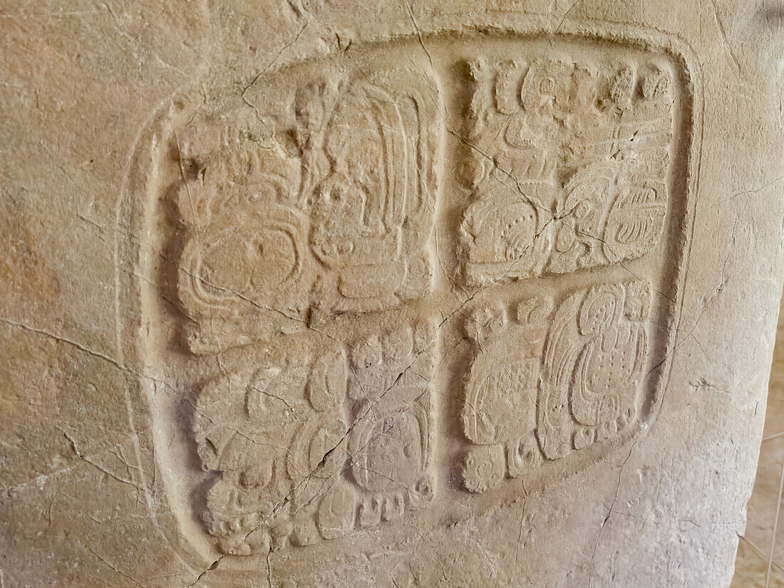 Tafel 3 aus der Struktur A9 im Museum im archäologischen Reservat von Xunantunich in Belize. Diese Tafel stammt ursprünglich von einer Hieroglyphentreppe in Caracol und wurde als Kriegstrophäe mitgenommen.
