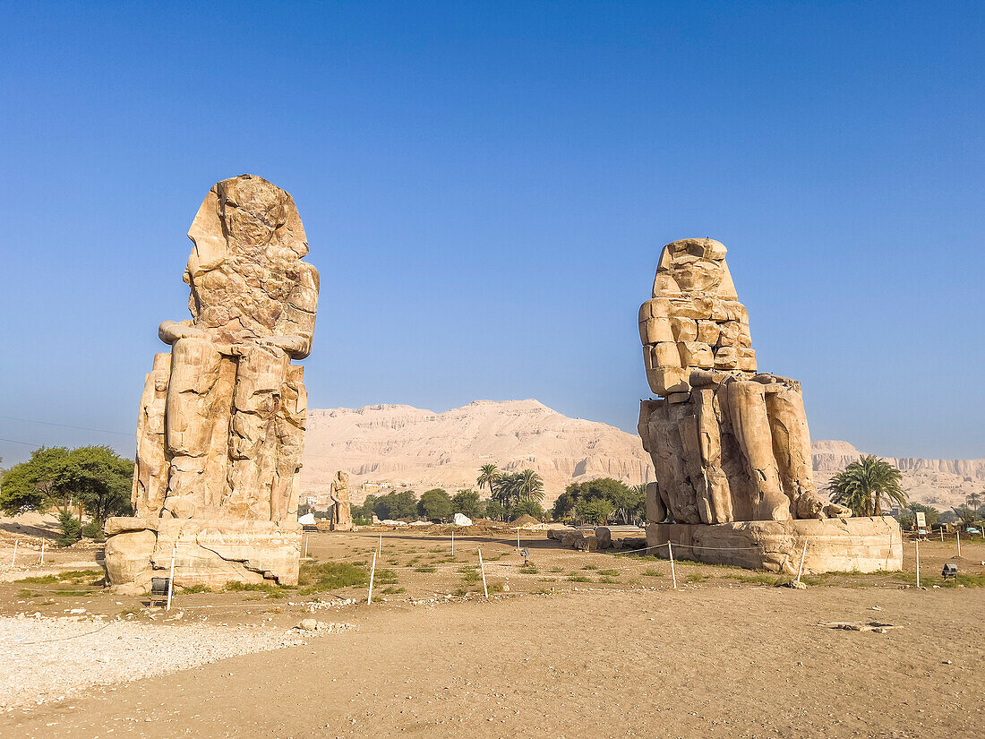 The Colossi of Memnon, seated statues near the Valley of the Kings, where for a period of 500 years rock tombs were excavated for pharaohs, UNESCO World Hderitage Site, Thebes, Egypt, North Africa, Africa\n