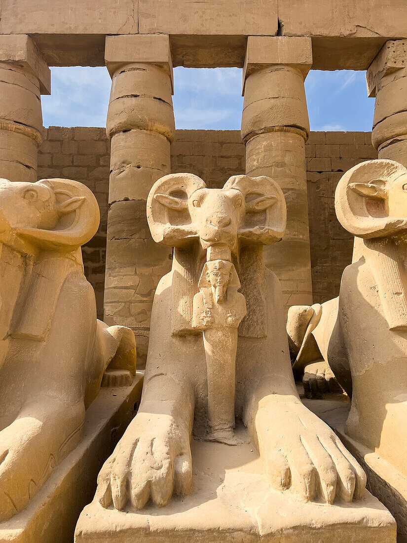 Ram-headed sphinx statues at Karnak, Karnak Temple Complex, UNESCO World Heritage Site, near Luxor, Thebes, Egypt, North Africa, Africa\n