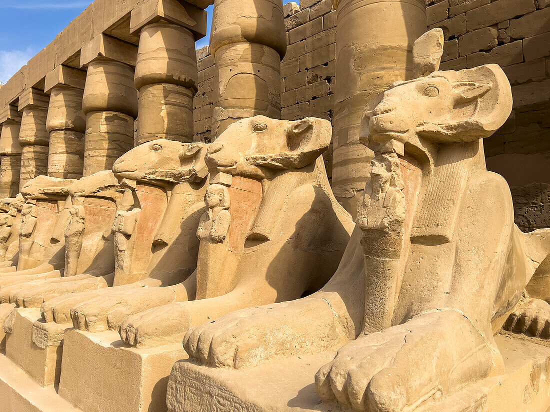 Ram-headed sphinx statues at Karnak, Karnak Temple Complex, UNESCO World Heritage Site, near Luxor, Thebes, Egypt, North Africa, Africa\n