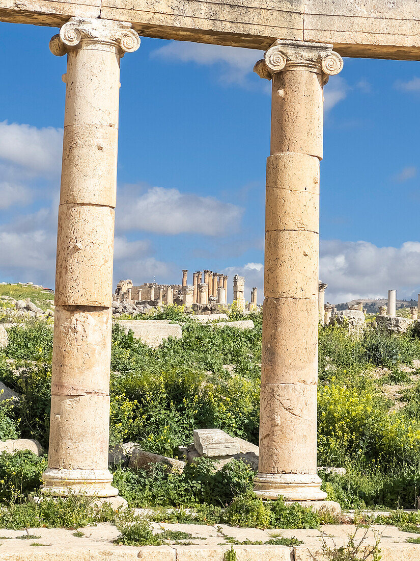 Säulen auf dem ovalen Platz in der antiken Stadt Jerash, die vermutlich 331 v. Chr. von Alexander dem Großen gegründet wurde, Jerash, Jordanien, Naher Osten