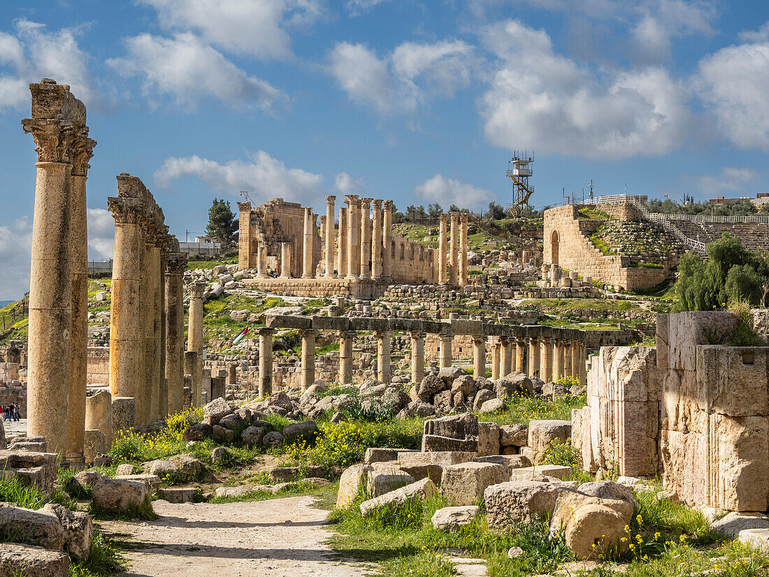 Columns in the Oval Plaza in the ancient city of Jerash, believed to be founded in 331 BC by Alexander the Great, Jerash, Jordan, Middle East\n