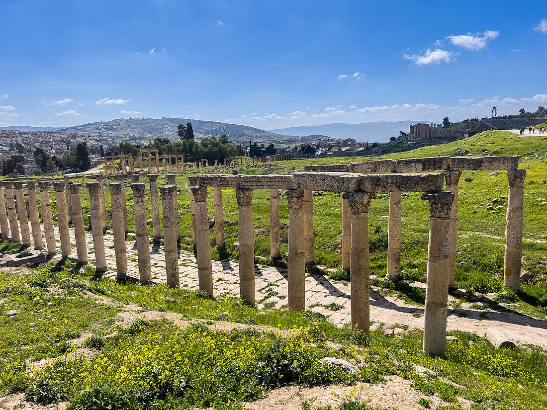 Säulen säumen eine Straße in der antiken Stadt Jerash, die vermutlich im Jahr 331 v. Chr. von Alexander dem Großen gegründet wurde, Jerash, Jordanien, Naher Osten