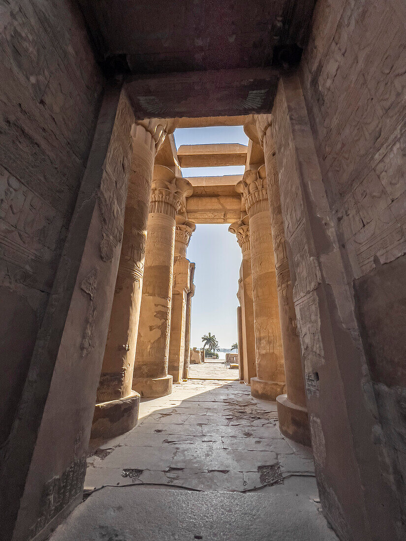 The Temple of Kom Ombo, constructed during the Ptolemaic dynasty, 180 BC to 47 BC, Kom Ombo, Egypt, North Africa, Africa\n