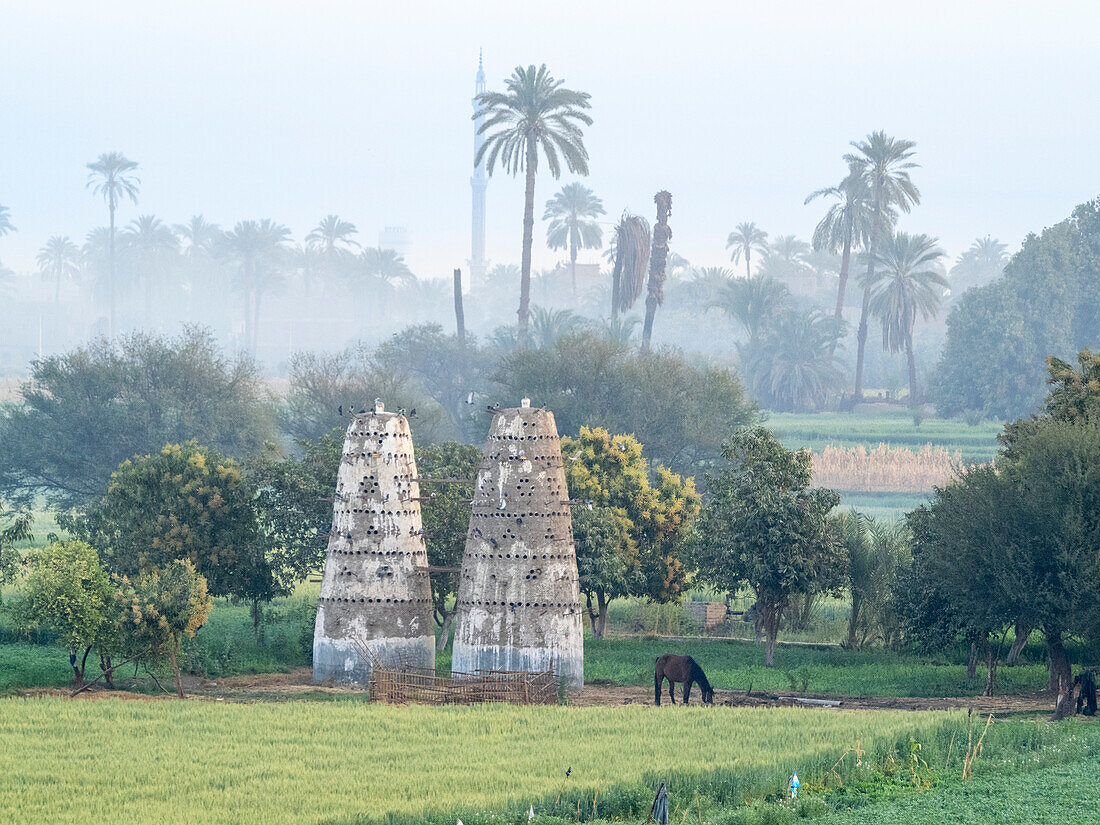 Ein Blick auf die Uferlinie des oberen Nils, inmitten des grünsten Landes entlang des Flusses, Ägypten, Nordafrika, Afrika