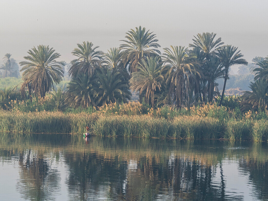 Ein Fischer in einem kleinen Boot auf dem oberen Nil, inmitten einer der grünsten Gegenden entlang des Flusses, Ägypten, Nordafrika, Afrika