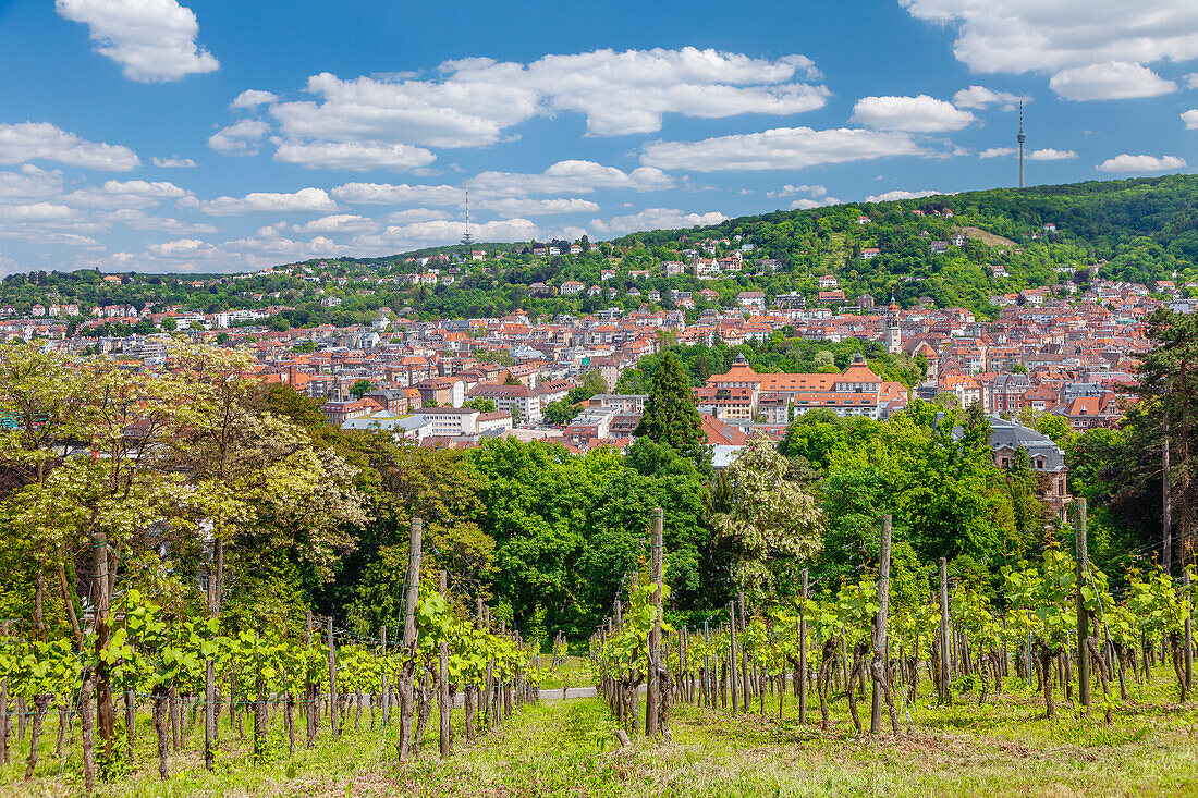 Blick vom Aussichtspunkt Karlshöhe auf Degerloch und Fernsehturm, Stuttgart, Baden-Württemberg, Deutschland, Europa