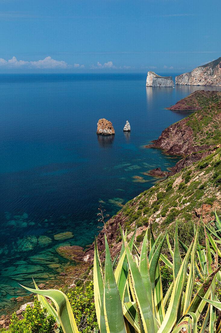 Costa Verde with Pan de Zucchero and Agusteri rock, Nebida, Sud Sardegna district, Sardinia, Italy, Mediterranean, Europe\n