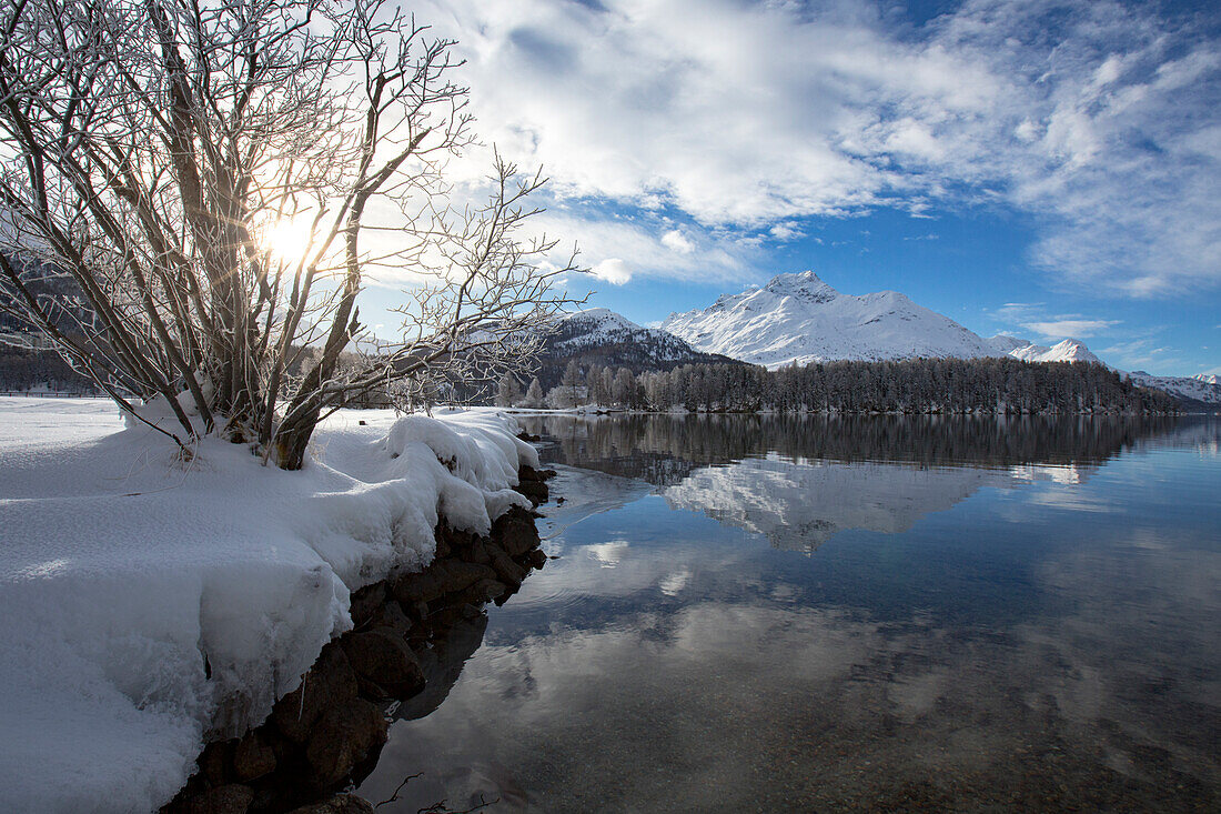 Schneebedeckte Berge spiegeln sich im eisigen Silsersee während eines kalten Winters, Engadin, Kanton Graubünden, Schweiz, Europa