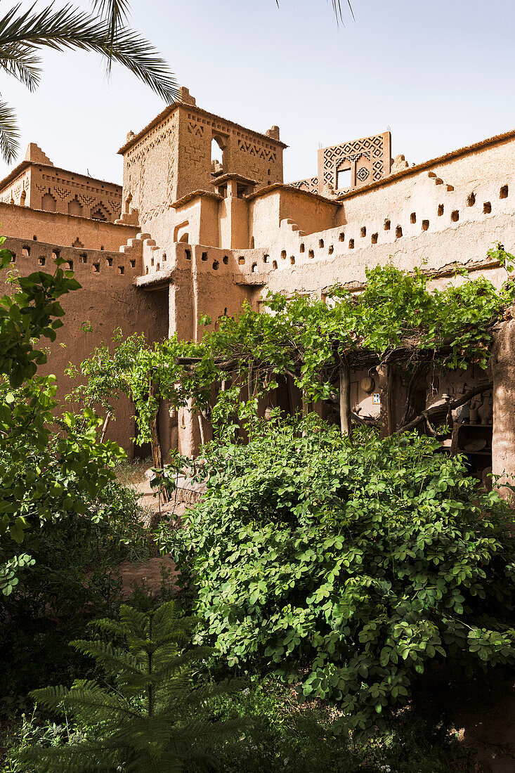 Historic Kasbah Amridil surrounded by trees, Skoura, Atlas mountains, Ouarzazate province, Morocco, North Africa, Africa\n