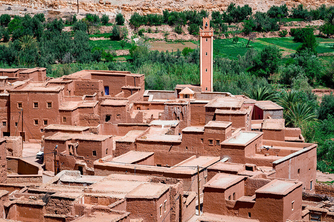 Ancient buildings of a Berber village framed by palm tree groves, Ounila Valley, Atlas mountains, Ouarzazate province, Morocco, North Africa, Africa\n