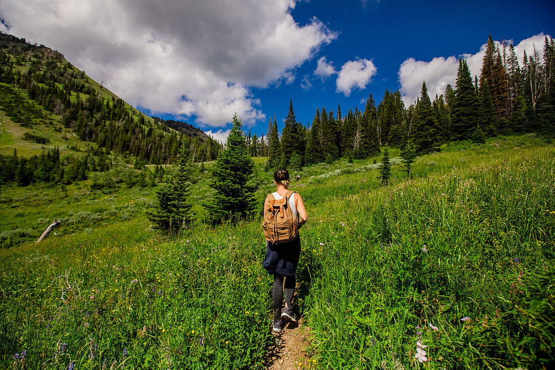 Walkers on Grand Teton National Park trails, Wyoming, United States of America, North America\n