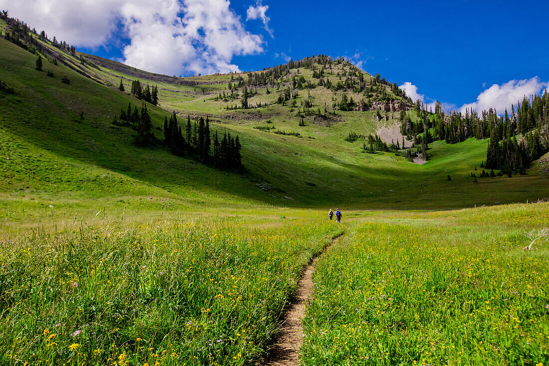 Grand Teton National Park Wanderwege, Wyoming, Vereinigte Staaten von Amerika, Nordamerika