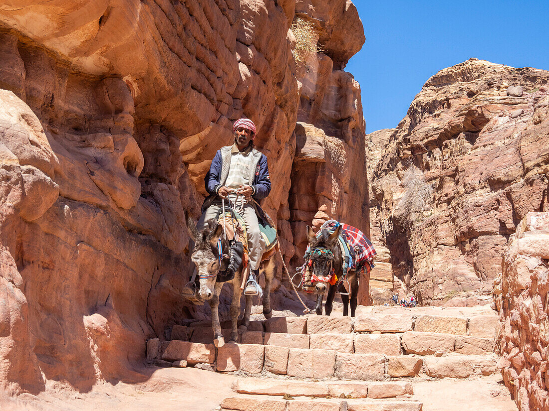Esel auf dem Weg zum Kloster von Petra (Al Dayr), Archäologischer Park von Petra, UNESCO-Weltkulturerbe, eines der sieben neuen Weltwunder, Petra, Jordanien, Naher Osten