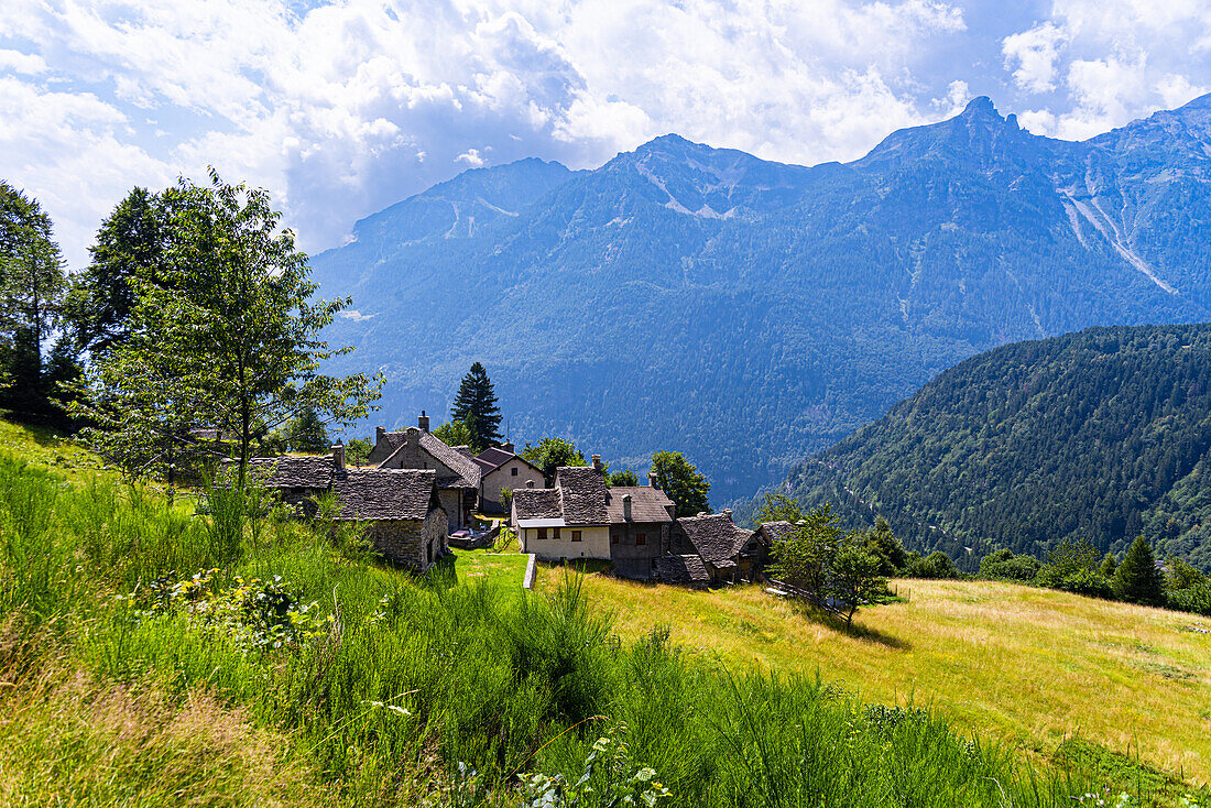 Idyllisches Alpendorf an einem grünen Hang mit bergigem Hintergrund, Varzo, Ossola-Tal, Piemont, Italien, Europa